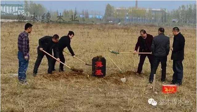 1-1F41Q4292T61 1-1F41Q4292T61