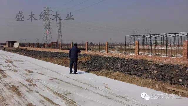 1-1F41Q43109C9 1-1F41Q43109C9