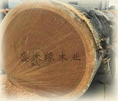 1-1FI015193O29 1-1FI015193O29